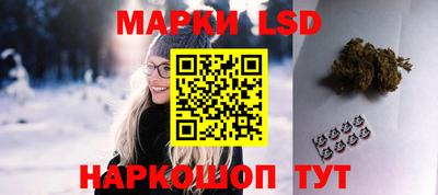 кокс Кингисепп