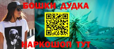 кокс Кингисепп
