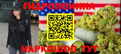 кокс Кингисепп
