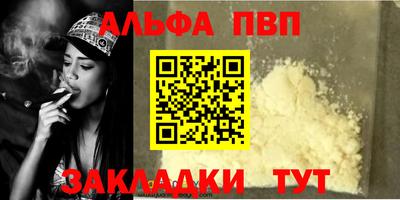 кокс Кингисепп