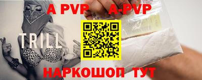 кокс Кингисепп