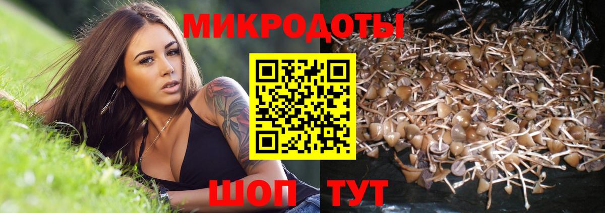 Галлюциногенные грибы MAGIC MUSHROOMS Костомукша