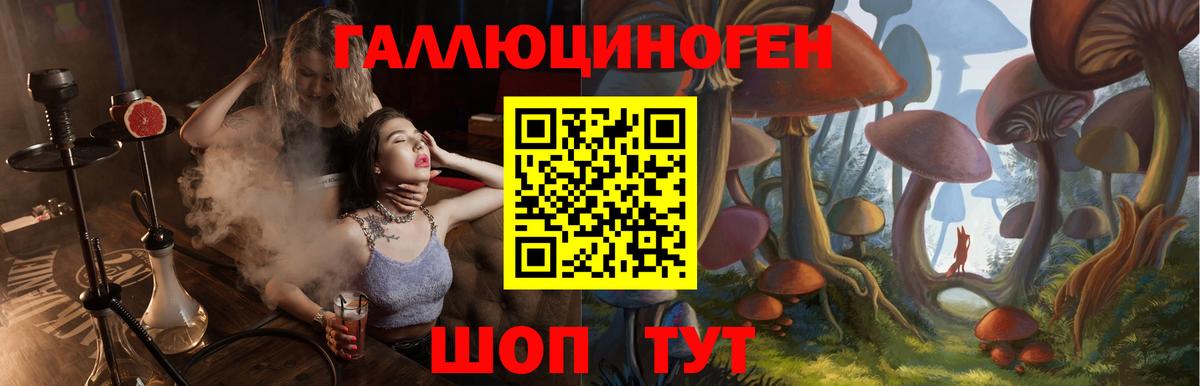 Псилоцибиновые грибы Psilocybine cubensis  Вход с VPN  Костомукша  как найти наркотики  Псилоцибиновые грибы ЛСД 